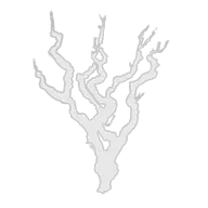 Sentinel Vine Manager Logo